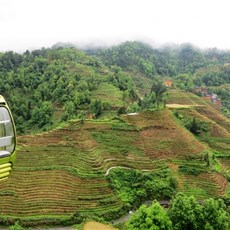 Dragon's Backbone rice terraces